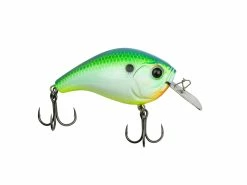 13 Fishing Jabber Jaw