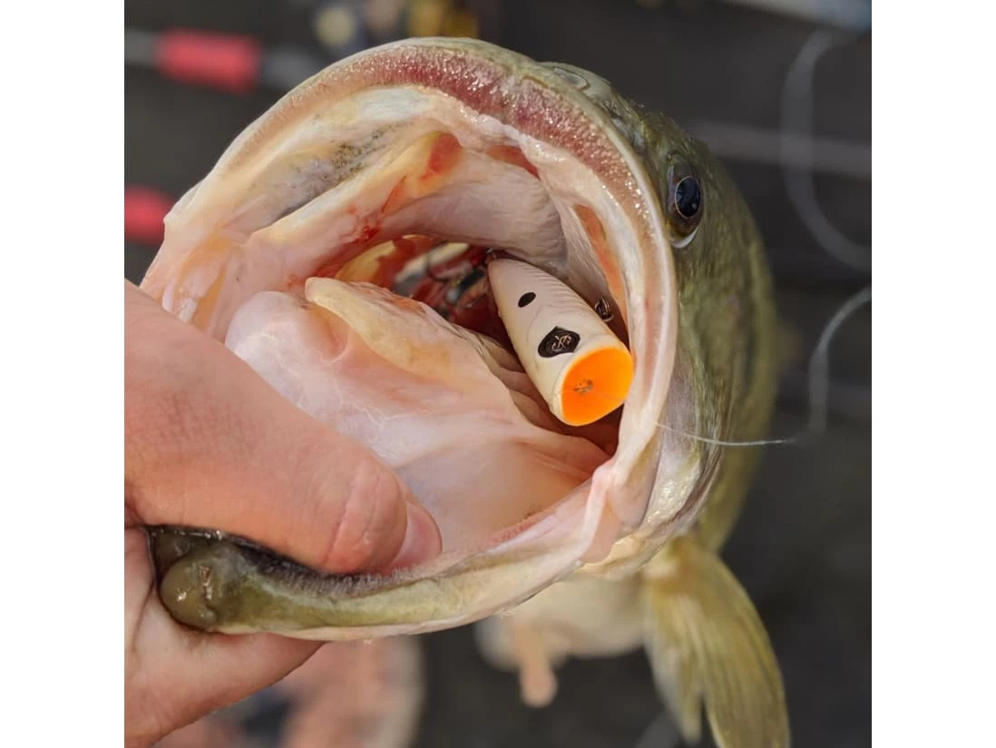 Googan Squad Blooper - Image 4