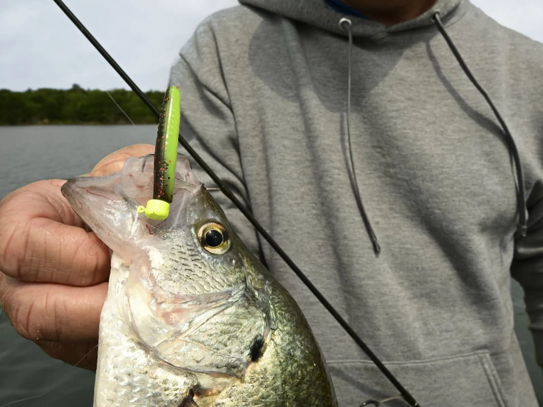 Z-Man Micro TRD - Image 2