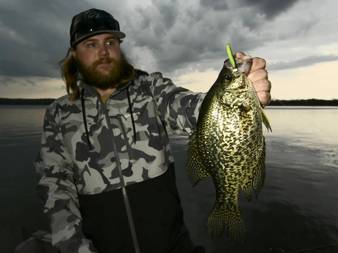 Z-Man Micro TRD - Image 3