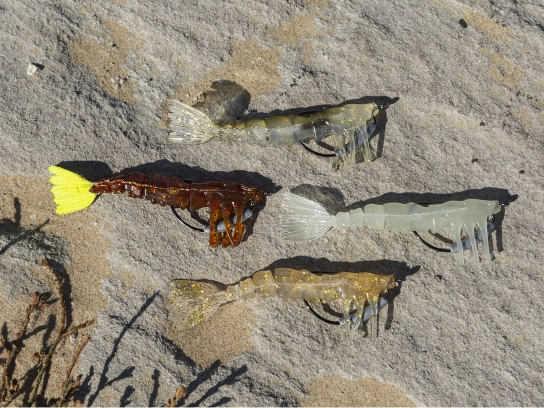 SaltNative Skelly Shrimp - Image 5