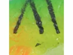 Northland Tackle Slurpies